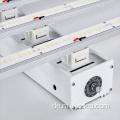 LED -Pflanzen wachsen Lichter unter 5x5 Zelt